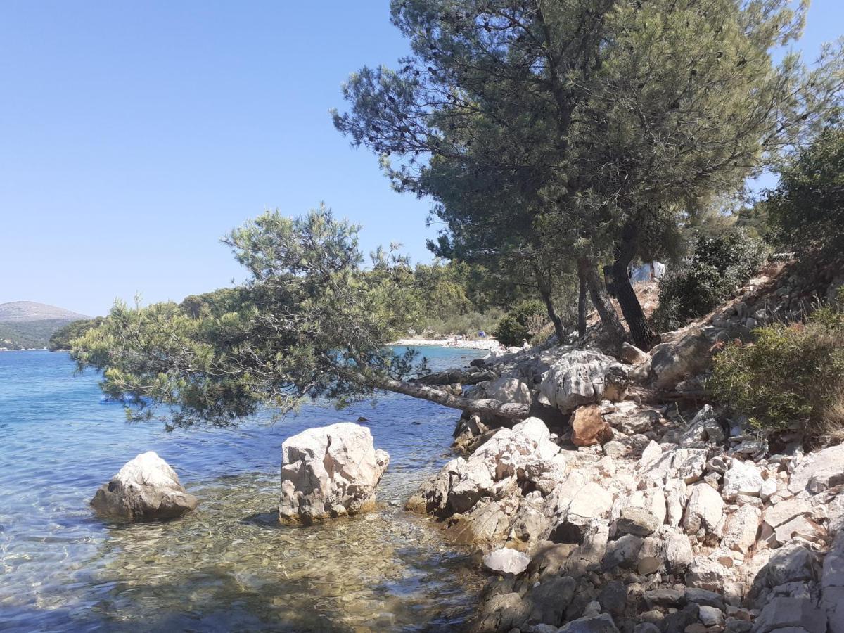 Apartman Antonio Trogir Zewnętrze zdjęcie
